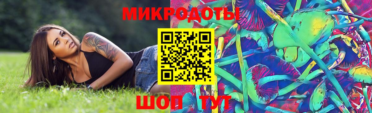 Псилоцибиновые грибы MAGIC MUSHROOMS Кингисепп